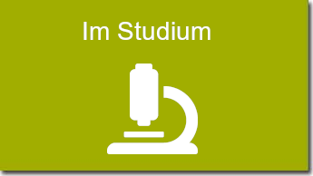 Im Studium
