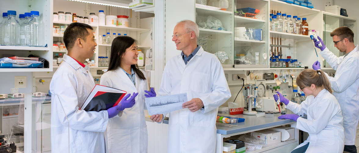 Studierende des Master Molekulare Biotechnologie im Labor. Masterstudenten der Molekularen Biotechnologie beim Forschungspraktikum Immunologie