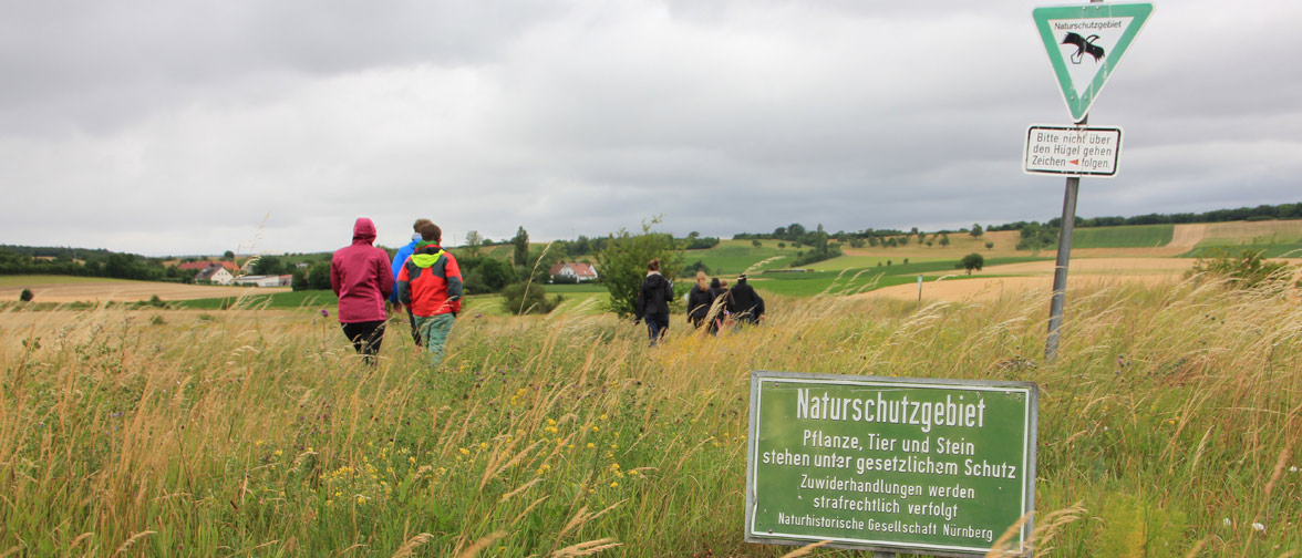 Students on an excursion in a nature reserve