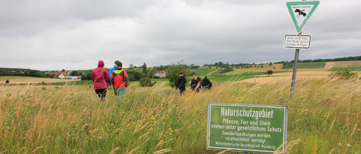 Studierende des Master Naturschutz und Landschaftsplanung auf Exkursion. Studierende bei einer Exkursion im Naturschutzgebiet
